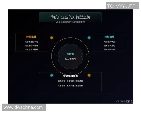 武汉排球队的转型之路：深度解析排球战术与团队协作的变革